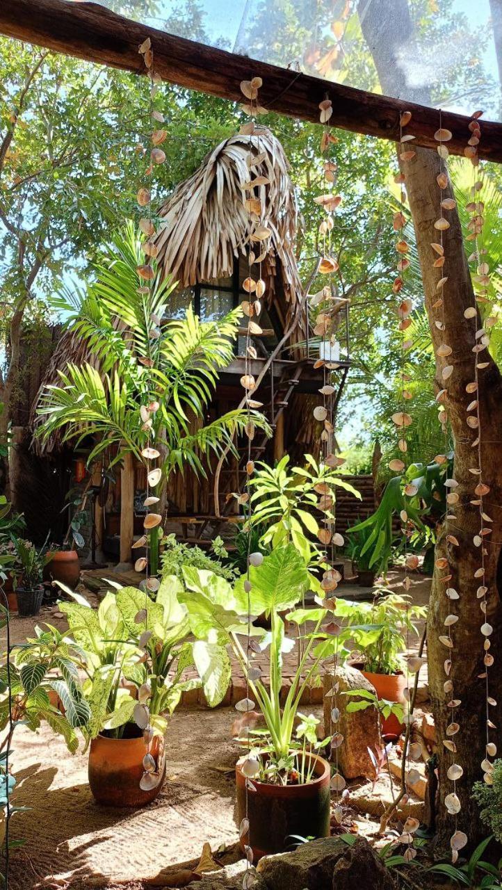 Monsoon Eco Resort - Whisky Point Arugambay Pottuvil Exteriör bild