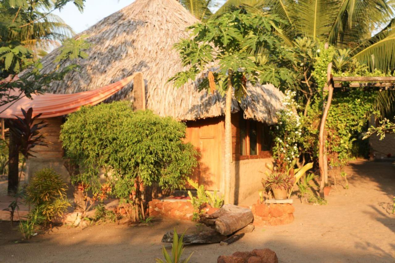 Monsoon Eco Resort - Whisky Point Arugambay Pottuvil Exteriör bild