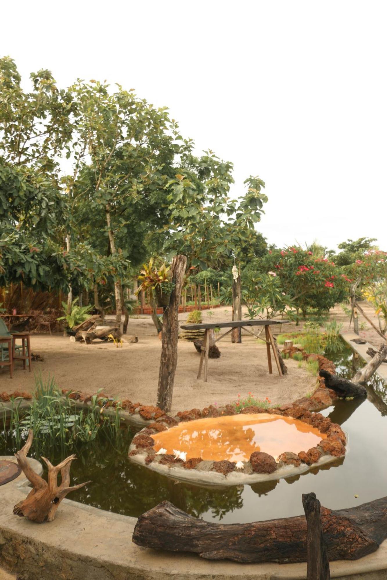 Monsoon Eco Resort - Whisky Point Arugambay Pottuvil Exteriör bild