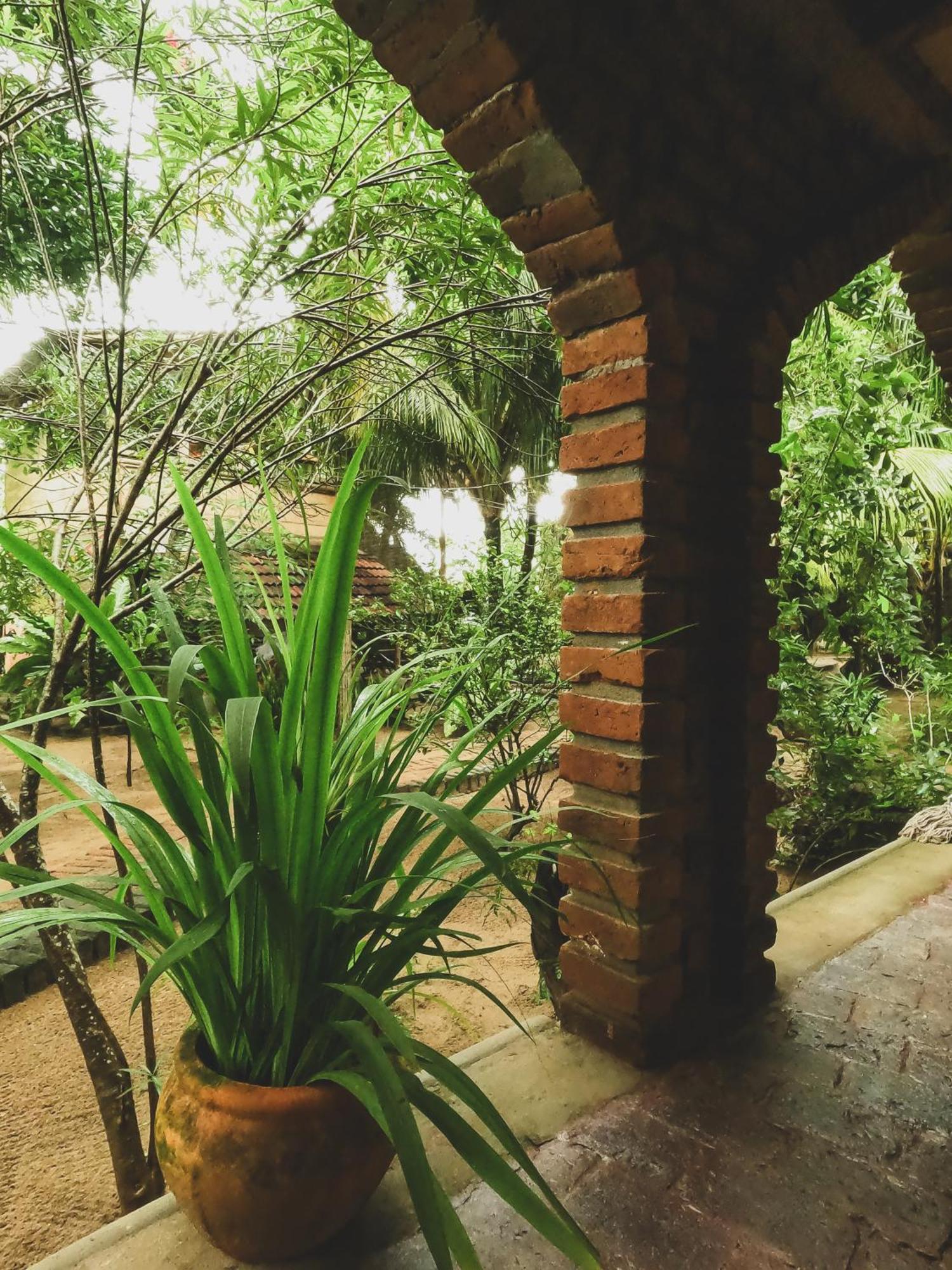 Monsoon Eco Resort - Whisky Point Arugambay Pottuvil Rum bild